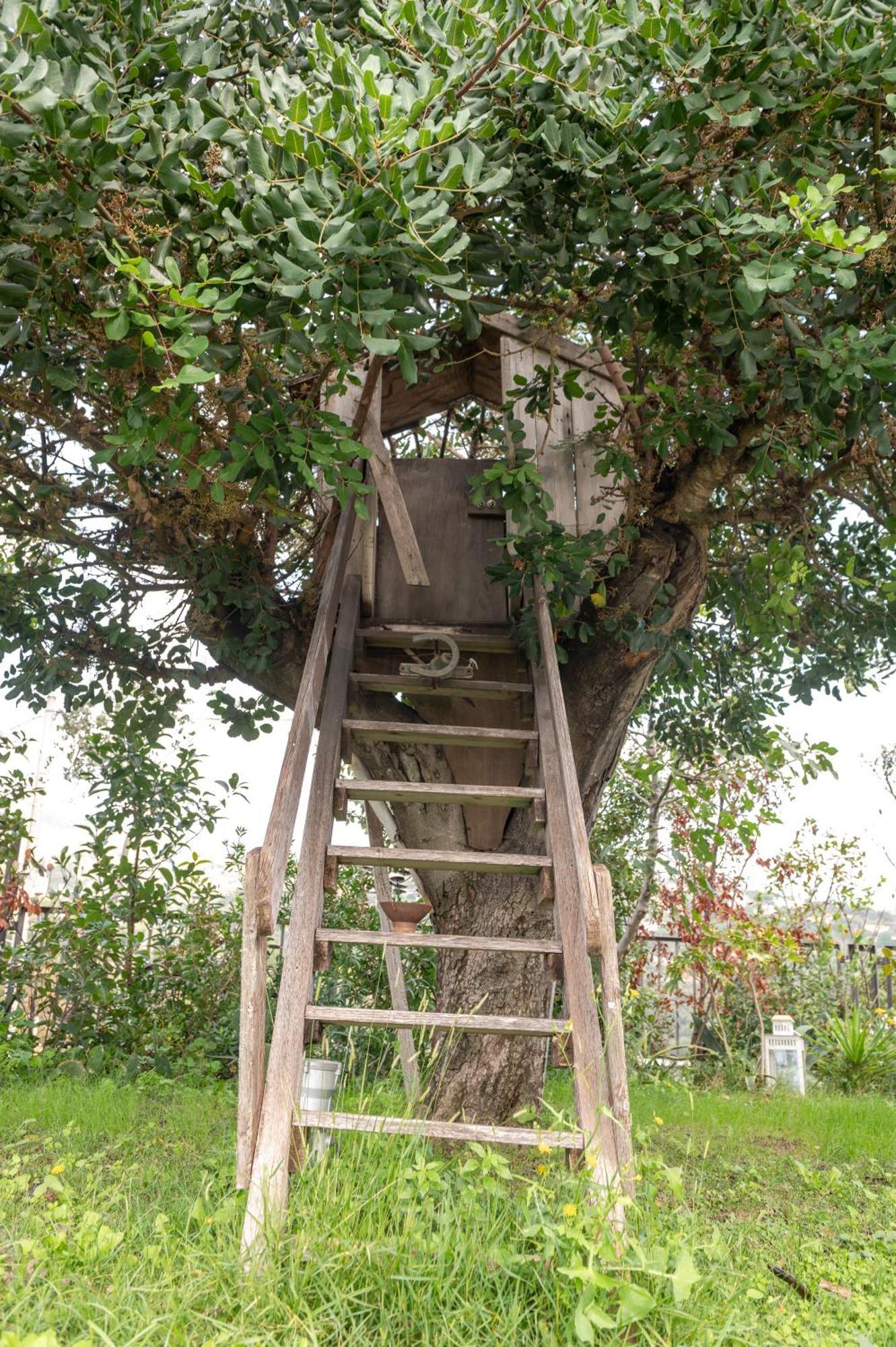 Villa Verney 아비솔라 수페리오레 외부 사진